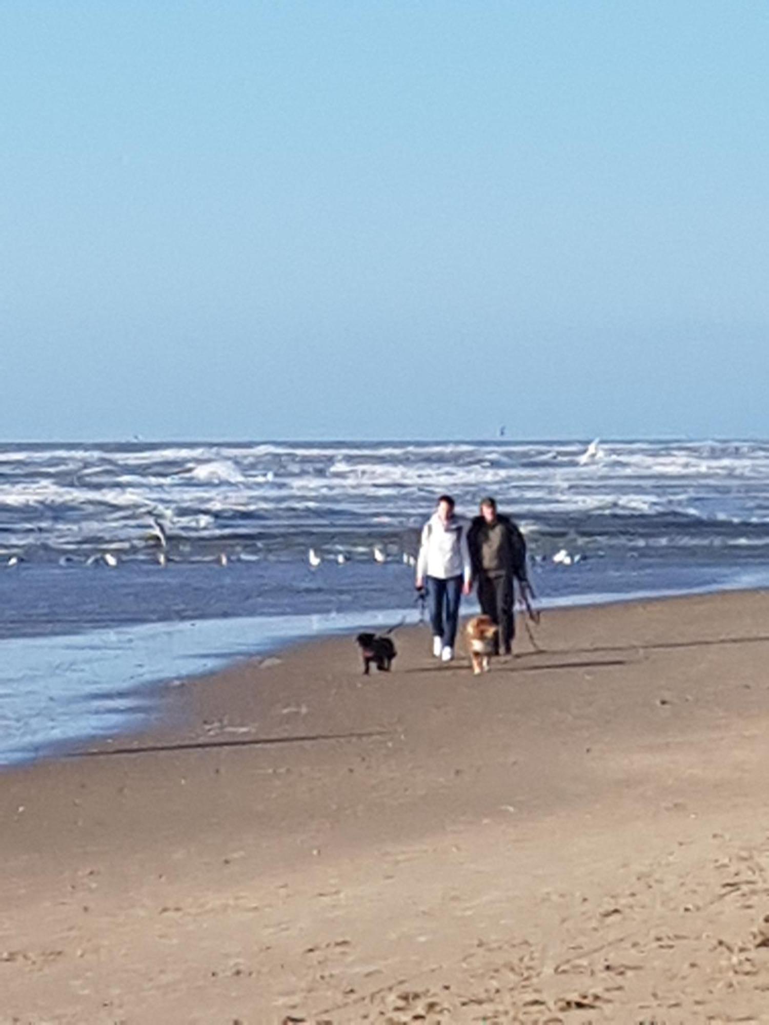 יוליאנאדורפ Romantisch Huisje Nabij Het Strand Met Uitzicht Op De Tulpenvelden מראה חיצוני תמונה
